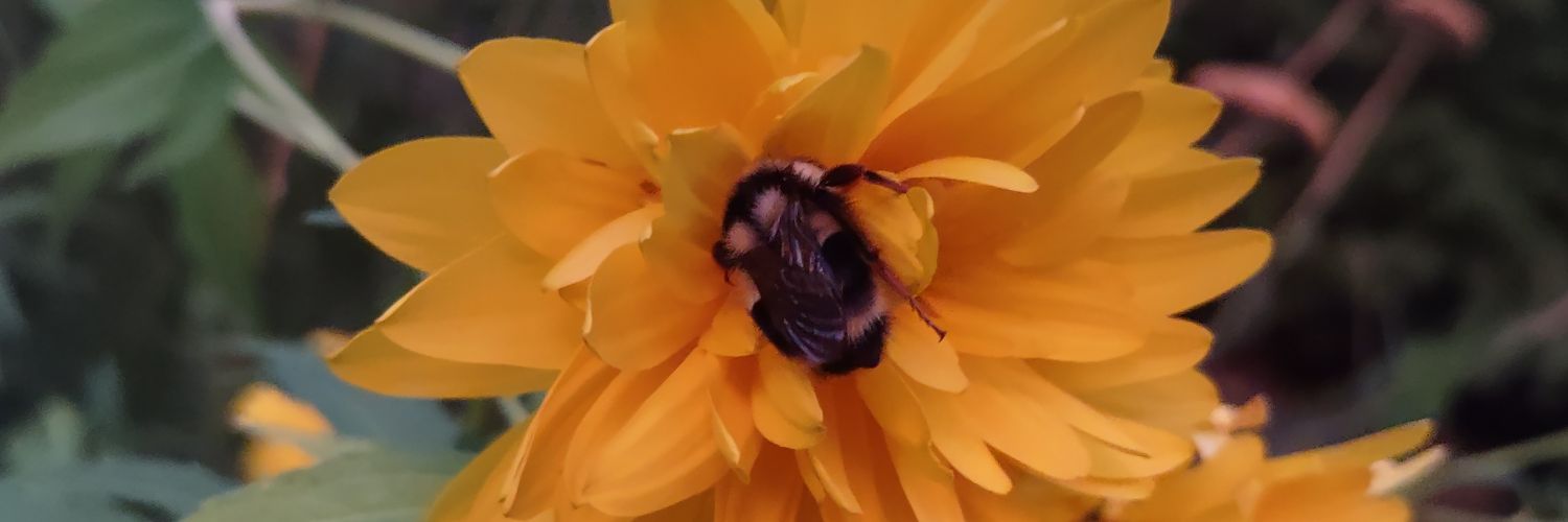 Paperclip 📎 banner