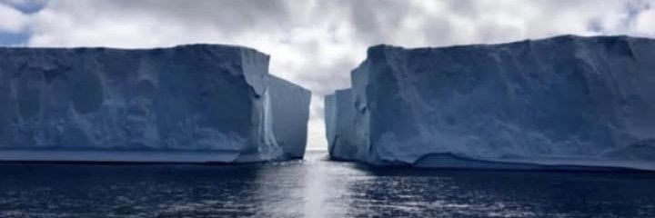 TrueHoax's profile banner image
