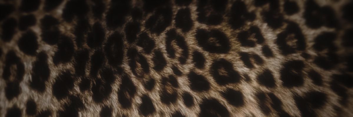 rie 🦇 banner