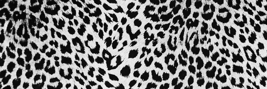 callivibes_OF's profile banner image