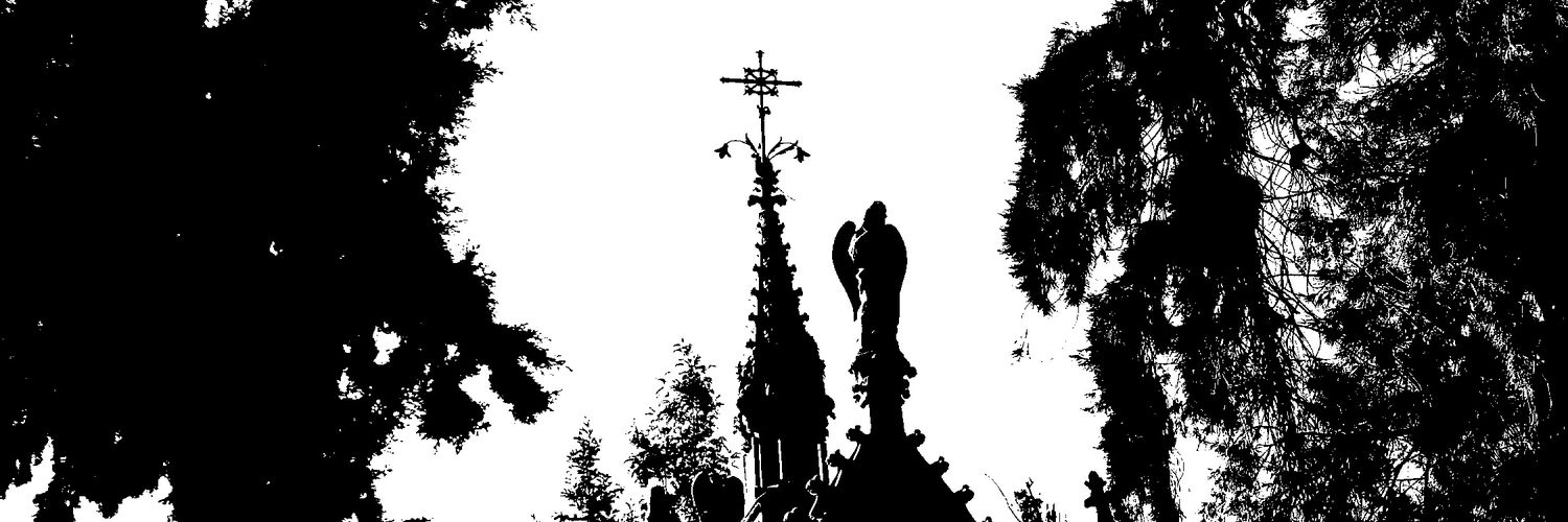 tawkhuah67's profile banner image