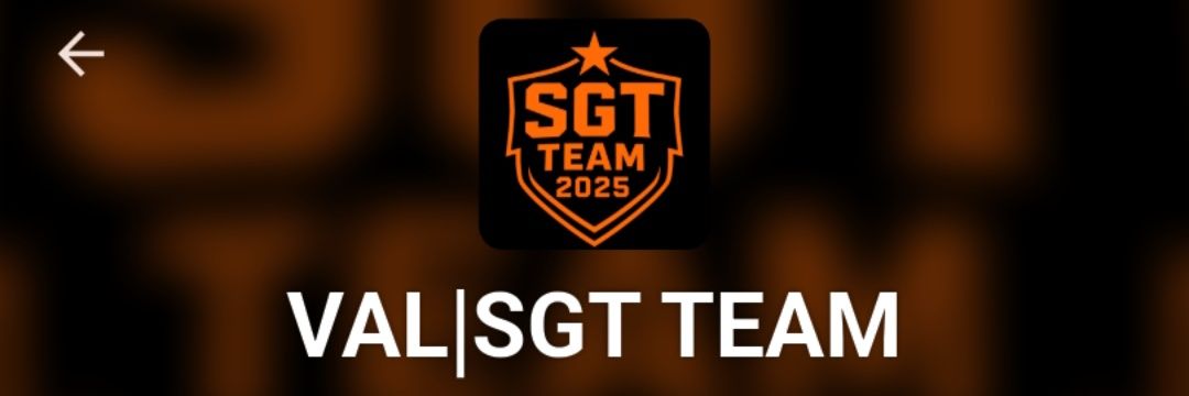 VAL|SGT TEAM banner