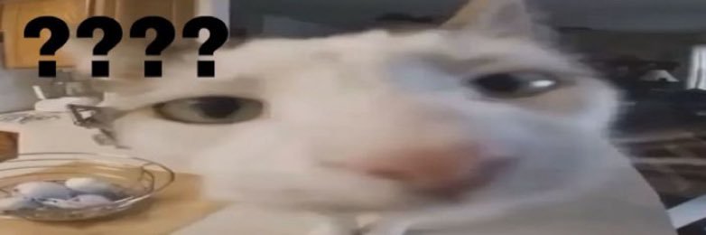siianyaa's profile banner image