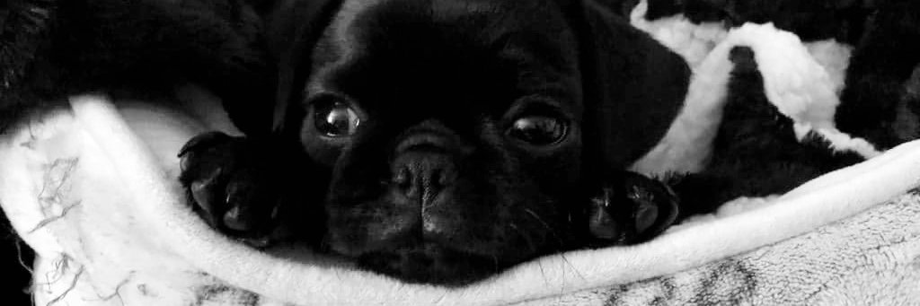 Ali0809's profile banner image