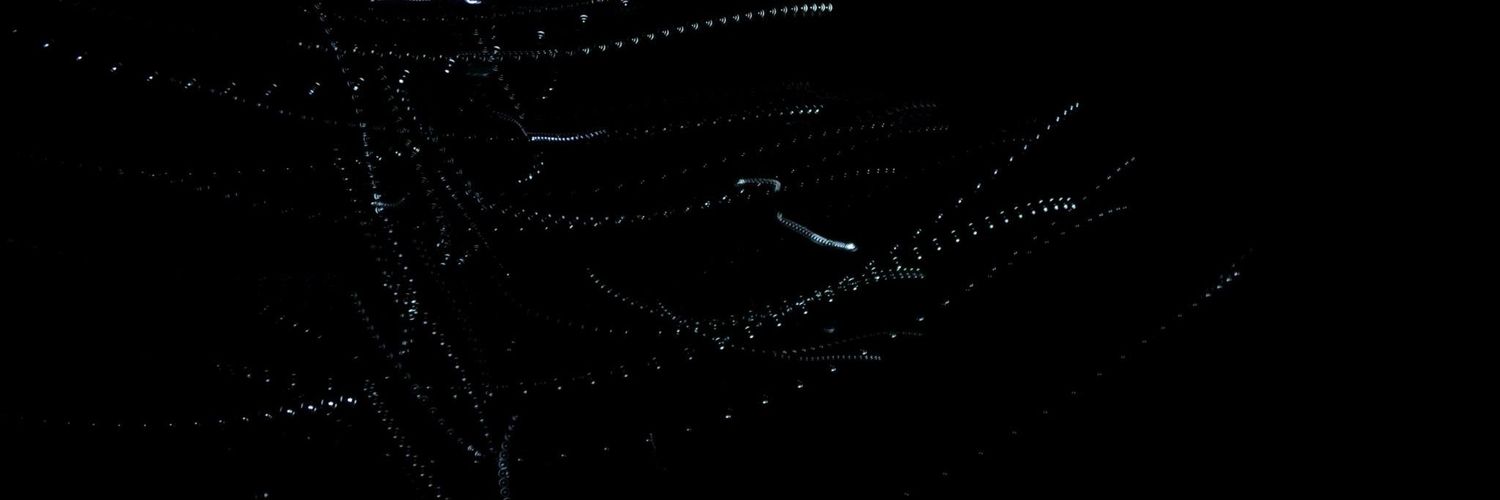 nadinlobos's profile banner image