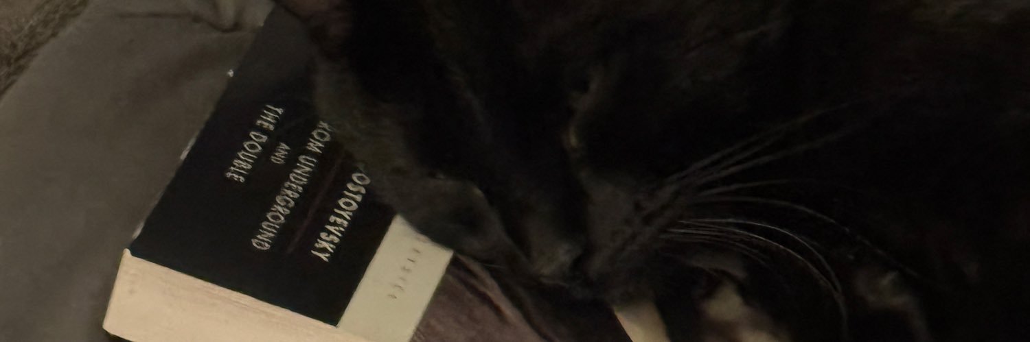 qandsumi's profile banner image