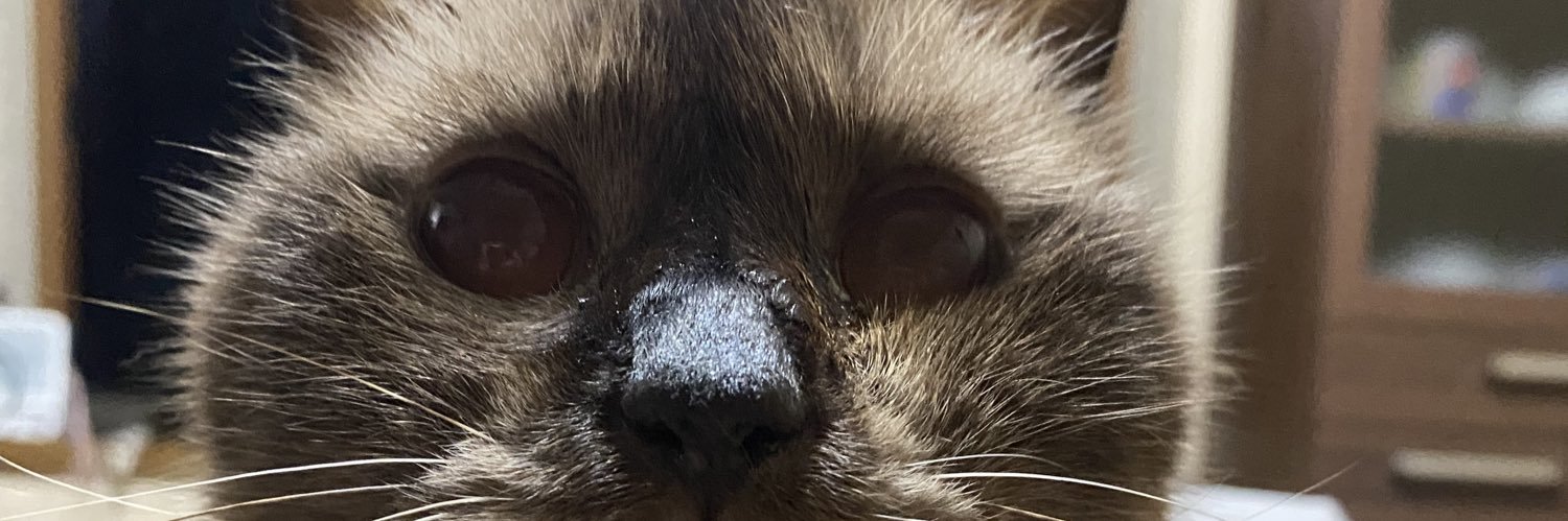 keitya7dd's profile banner image