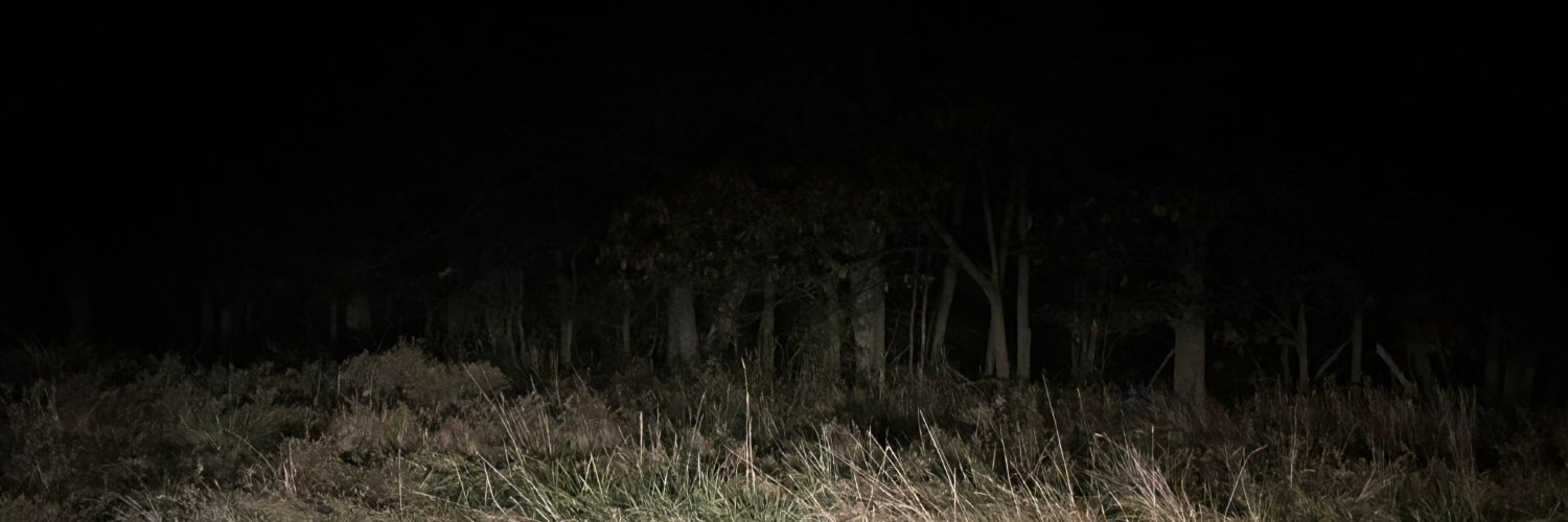 KaraTerraph's profile banner image