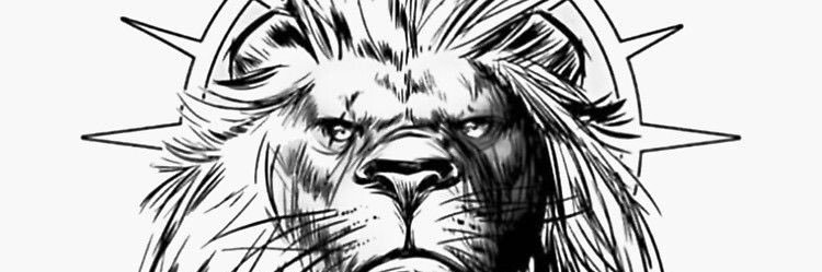 calvinted's profile banner image