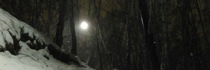 4TTACKD0G's profile banner image