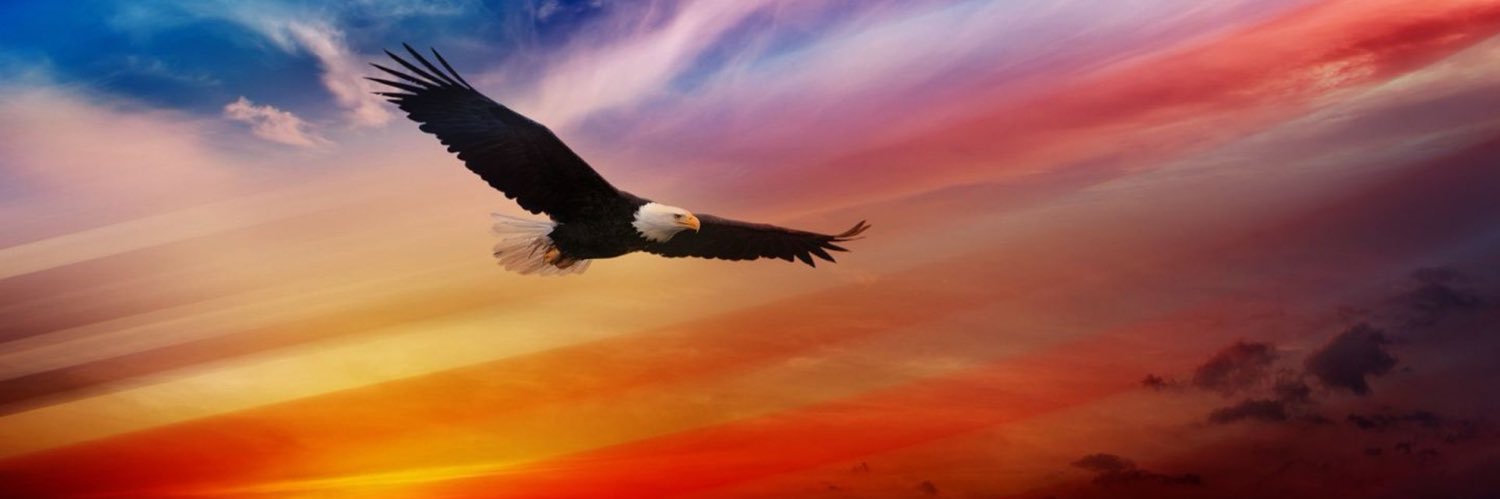 Peter🇺🇸 banner