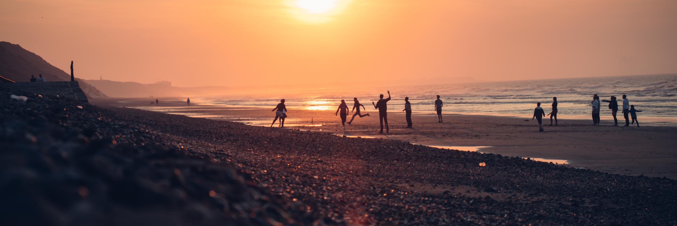 Michael Sreenan banner