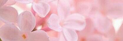 ittsALEXiS's profile banner image
