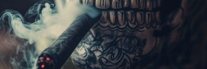 Алексей Плотник banner