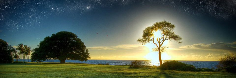 ATCAOpen's profile banner image