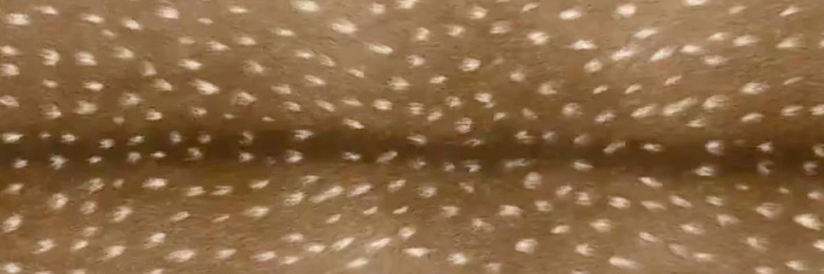 nnorrxly's profile banner image