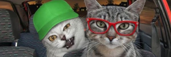 tecmax101 Profile Banner