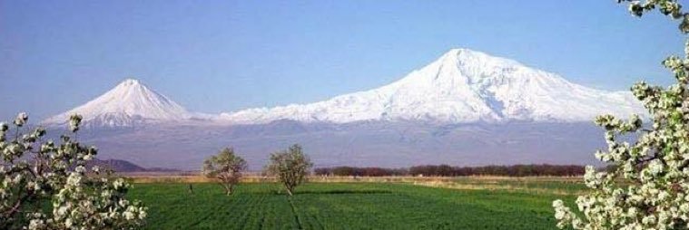 arshavir86's profile banner image