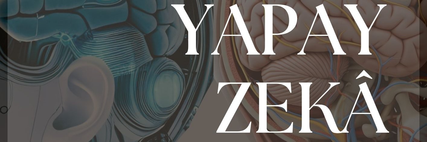 EyzedTr's profile banner image
