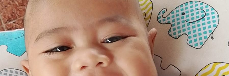 Herdi|explorer banner