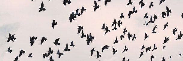 KryptoMom's profile banner image