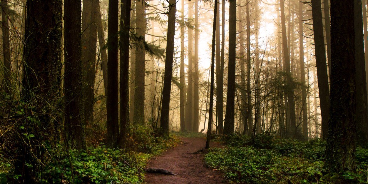 Dustin Boyersmith banner