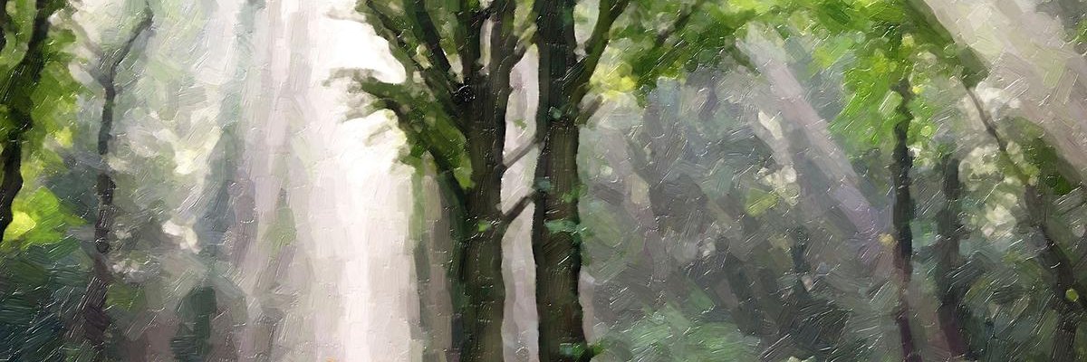 luqueadri's profile banner image