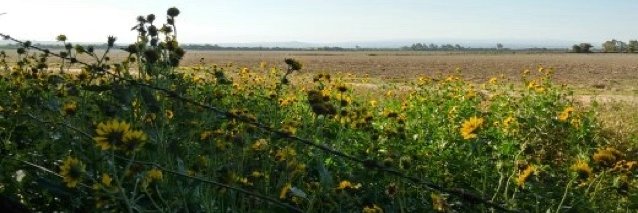 natiscba's profile banner image