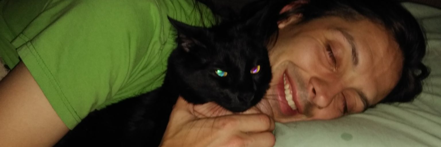 SillehMermaid banner