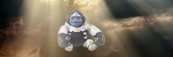 TheWintonDaily Profile Banner