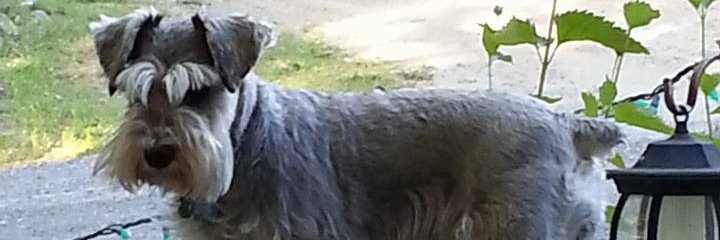 rodrigueg69's profile banner image