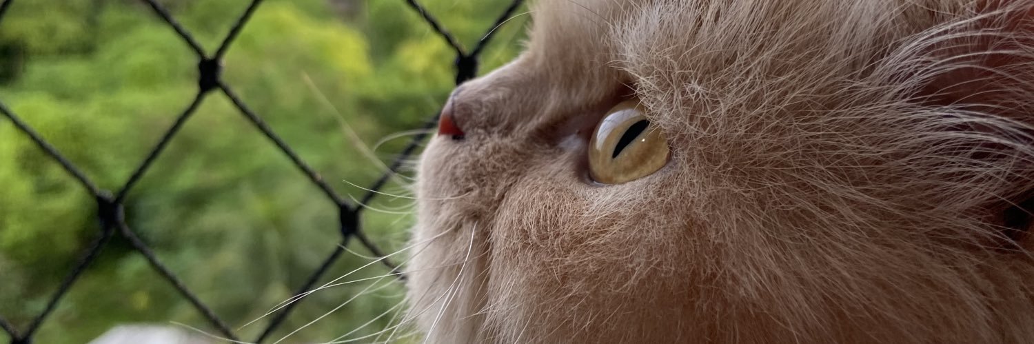 ileomilo's profile banner image