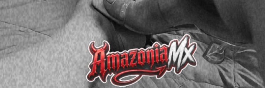 AryAmazonia's profile banner image