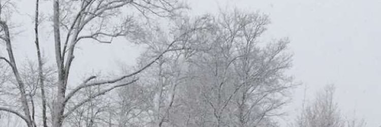 jsimon93's profile banner image