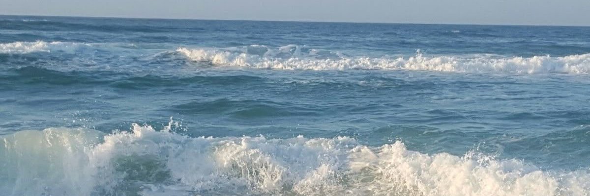 noahs_arkk15's profile banner image