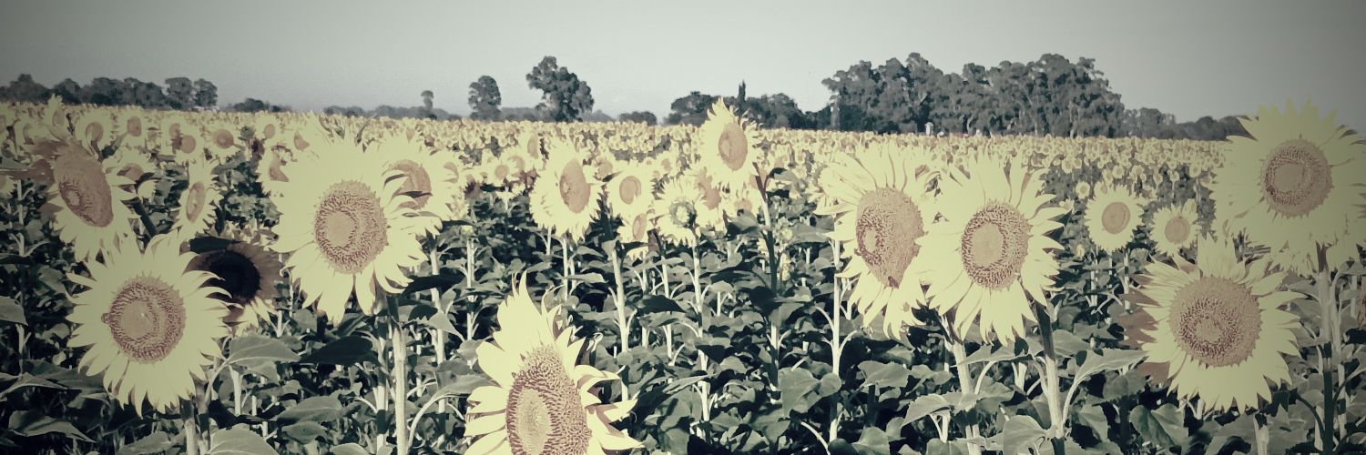 yesibor's profile banner image