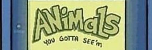 LilZunchi's profile banner image