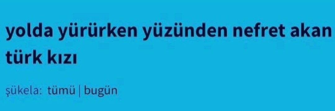 selin banner
