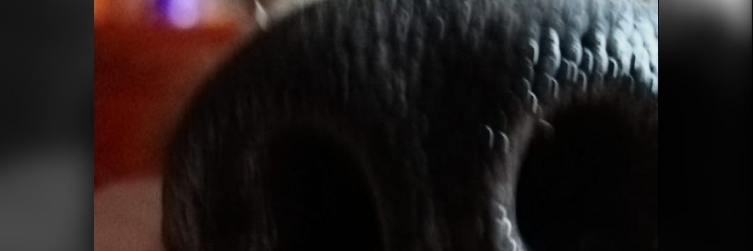 Alewrites_'s profile banner image