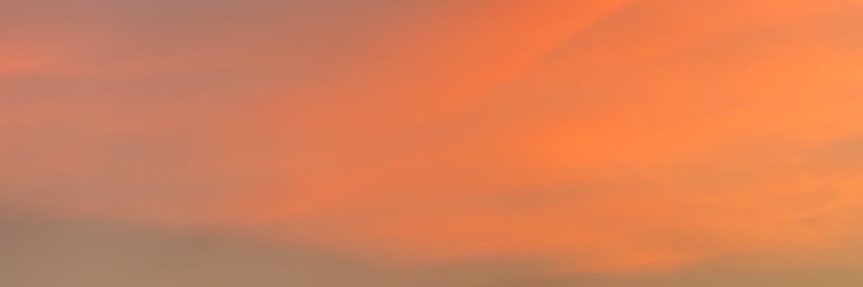 ✨ banner