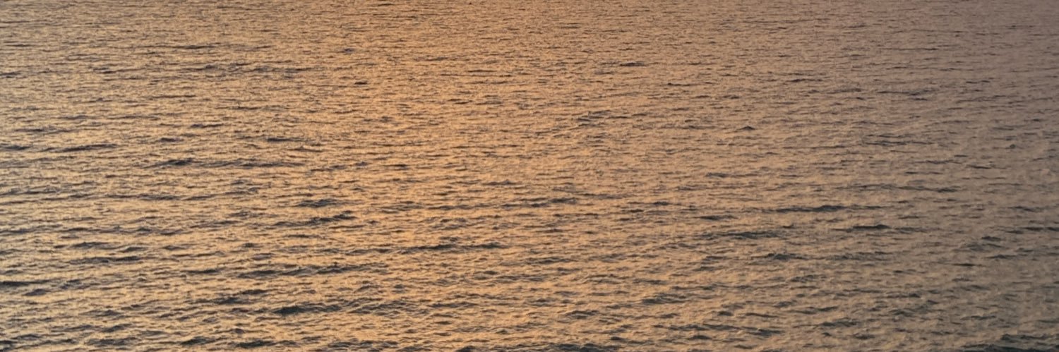 Ssxvb6's profile banner image