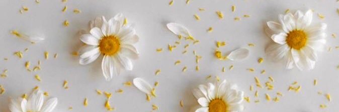Valeriamheredia's profile banner image