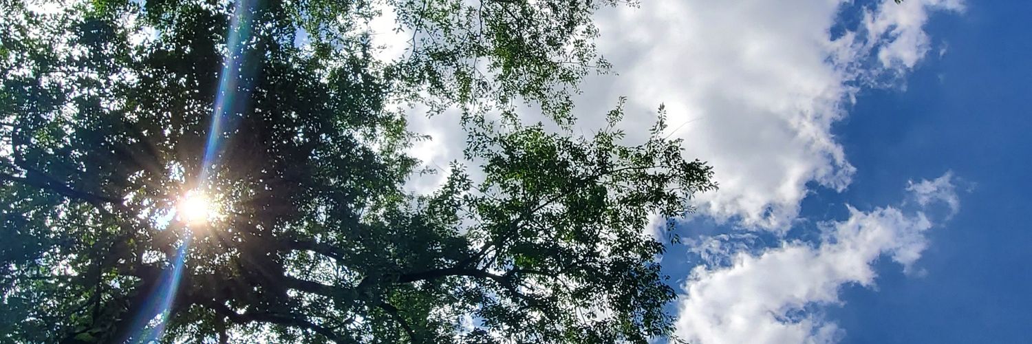 SettiSlang's profile banner image