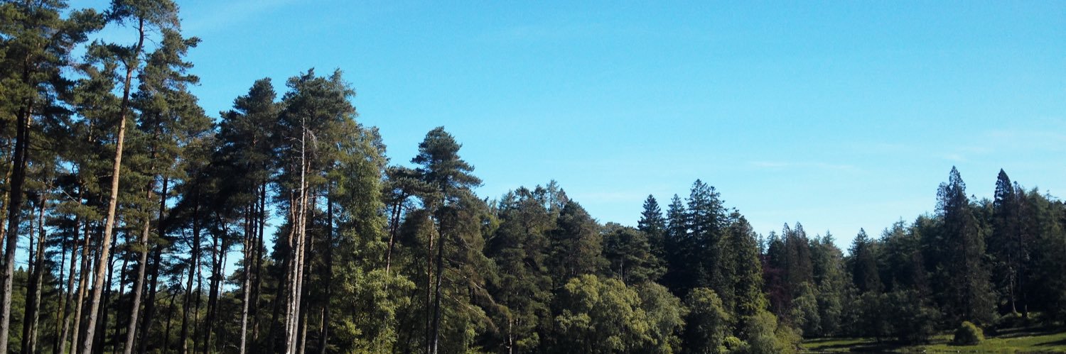 elb_ess's profile banner image