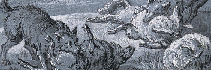 kingkrulelover_'s profile banner image