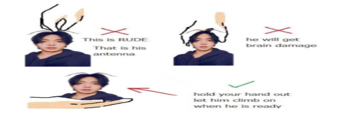 i♥︎engeneswhofart banner