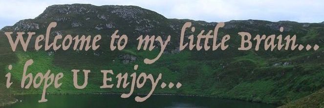 ₍^. .^₎Ⳋ banner