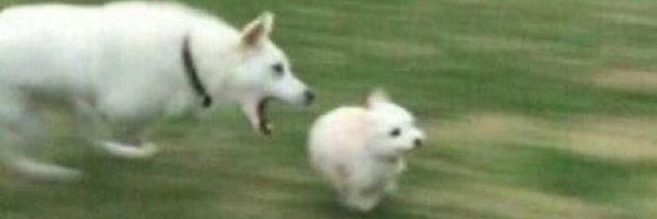 k_eerthii Profile Banner