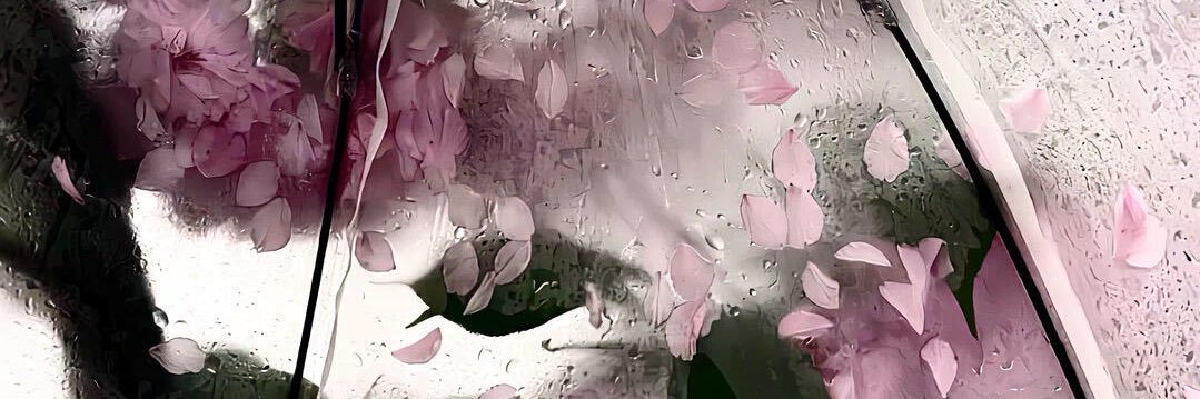 人生就像血染这样无厘头 banner