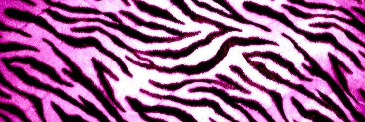 bamchiraa's profile banner image